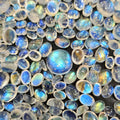 Fine Quality Moonstone Lot of 12pcs Ovals - The LabradoriteKing