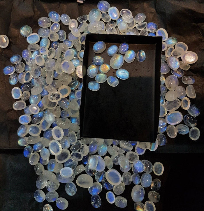 Fine Quality Moonstone Lot of 12pcs Ovals - The LabradoriteKing