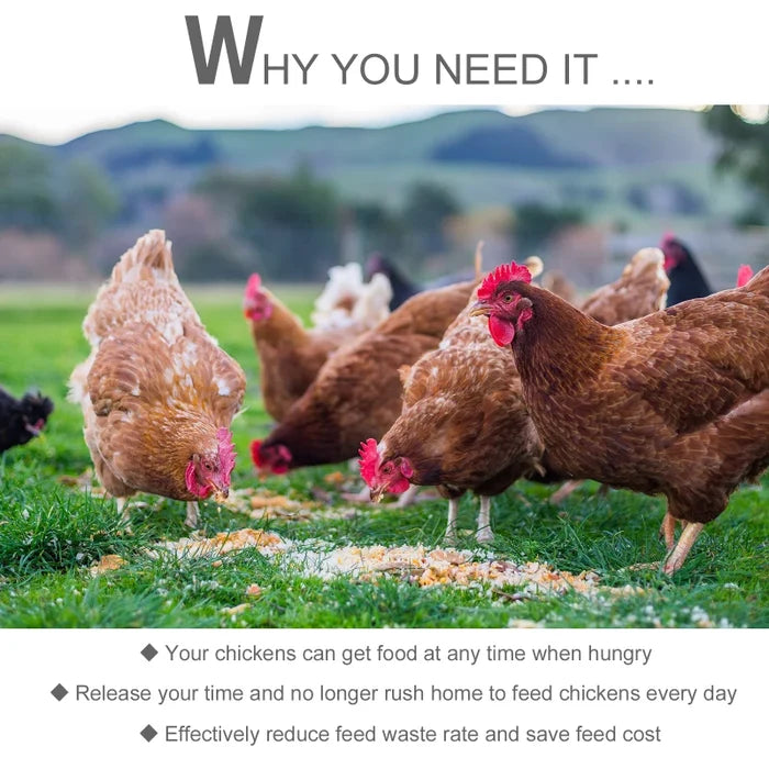 Automatic Chicken Poultry Feeder Tino