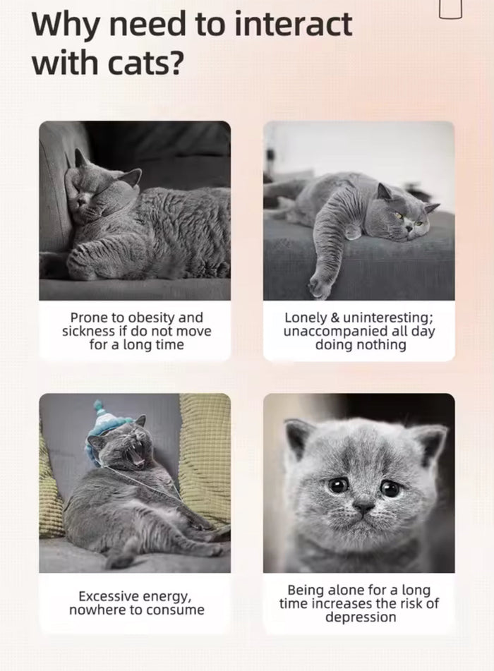 Automatic Laser Cat Toy – supplier product view 7