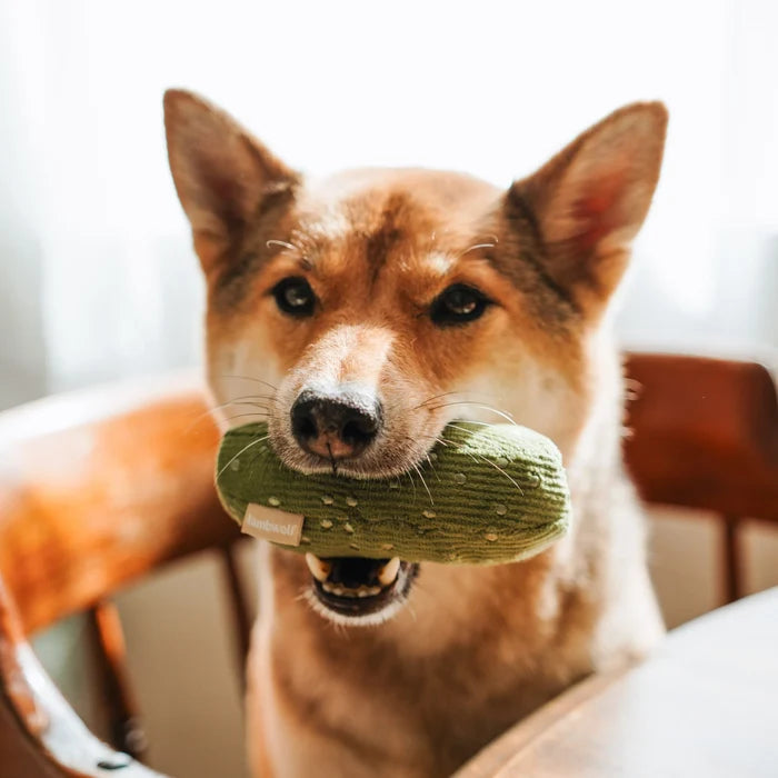 Bagel & Pickle