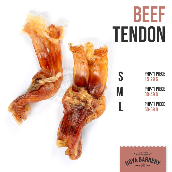Beef Tendons