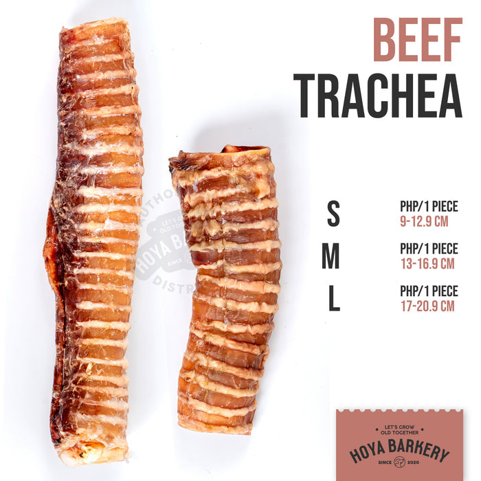 Beef Trachea