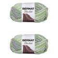 Bernat Blanket Lilac Leaf Yarn