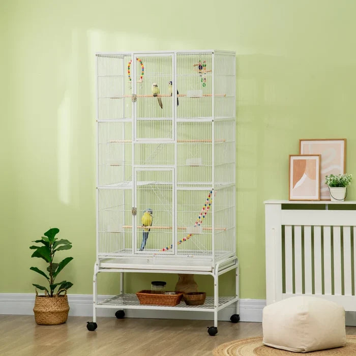 Bird Cage Robin