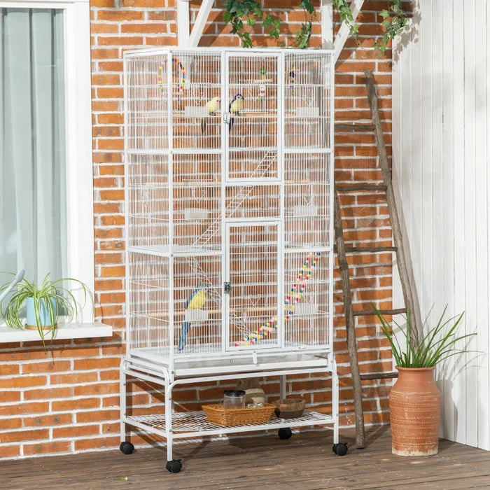 Bird Cage Robin