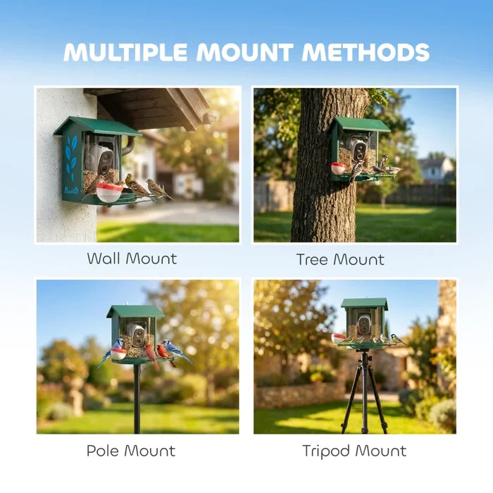 Bird Feeder Camera Ricky - PETSTEP