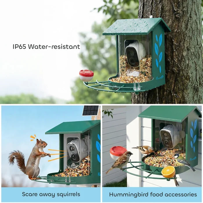 Bird Feeder Camera Ricky - PETSTEP