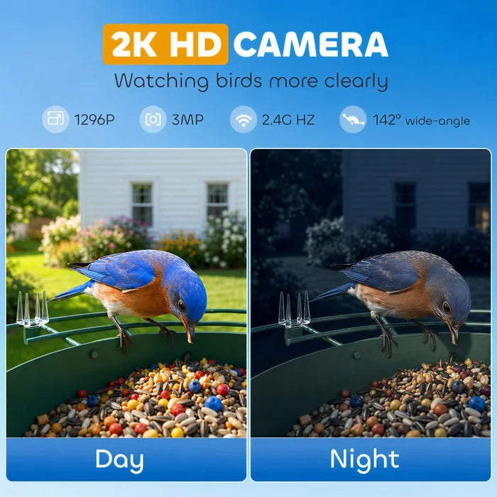 Bird Feeder Camera Ricky - PETSTEP
