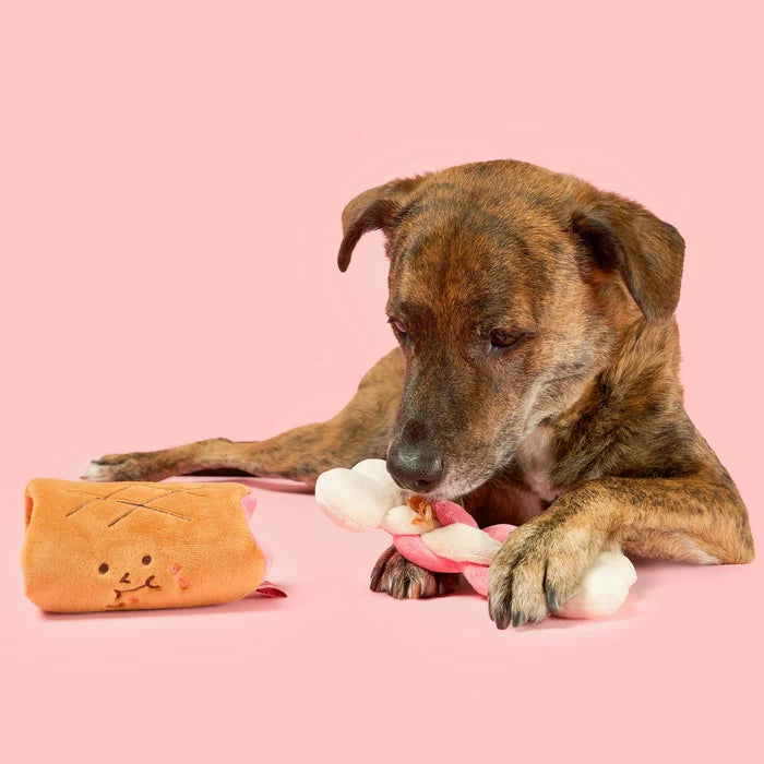 Bone Appétit Nosework Toyork & Tug Toy