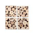 BRANCH COASTERS  | ENTERTAINING