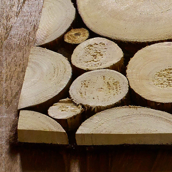 BRANCH PLACEMAT
