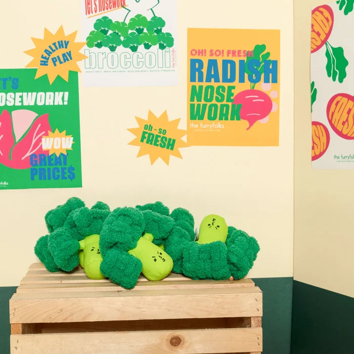 Broccoli Nosework Toy