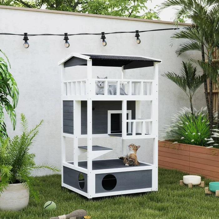 Cat House Danny - PETSTEP