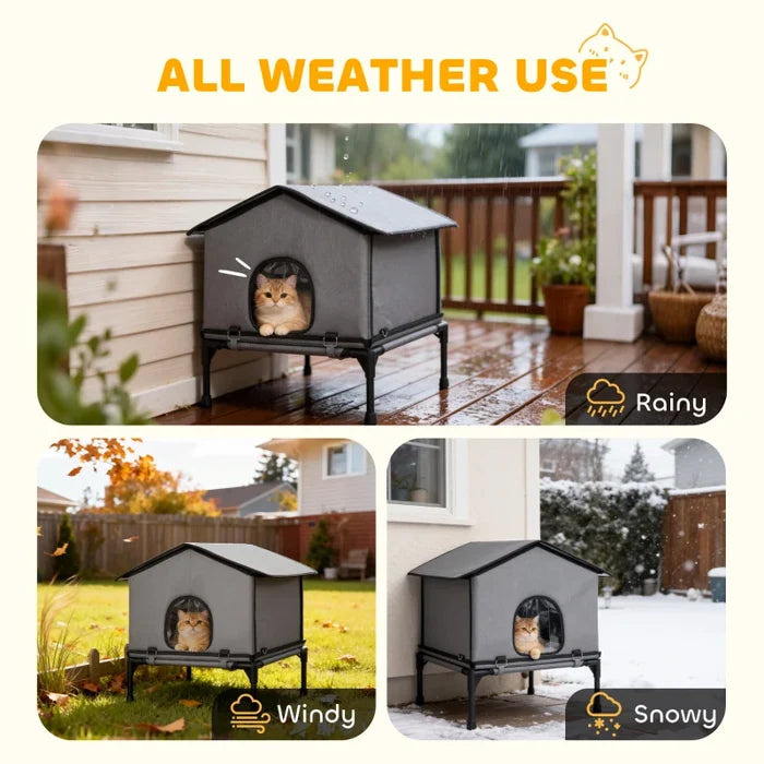 Cat House Pete - PETSTEP