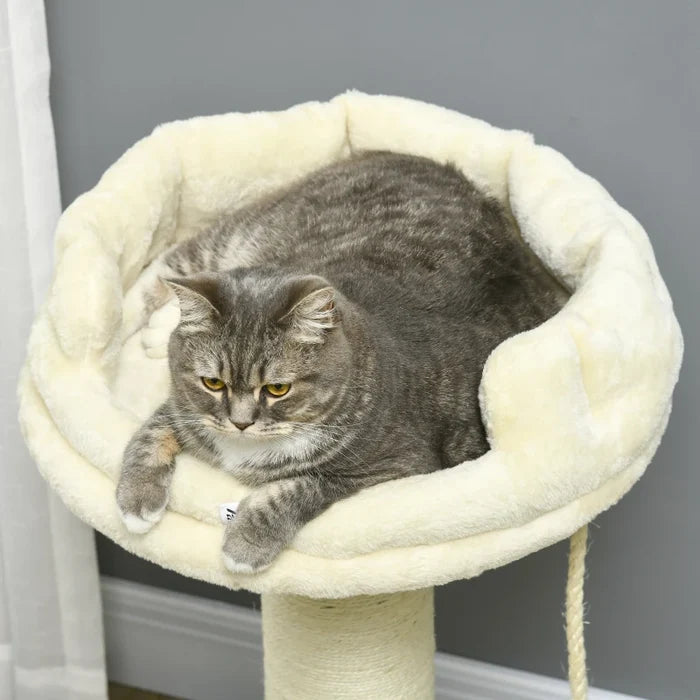 Cat Scratcher Moe - PETSTEP