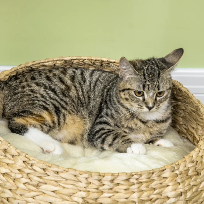 Cat Tree Myles - PETSTEP