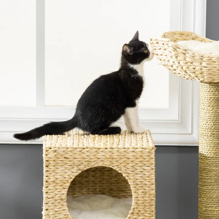 Cat Tree Scott - PETSTEP
