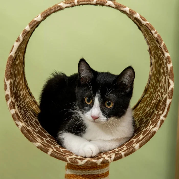Cat Tree Sophie - PETSTEP
