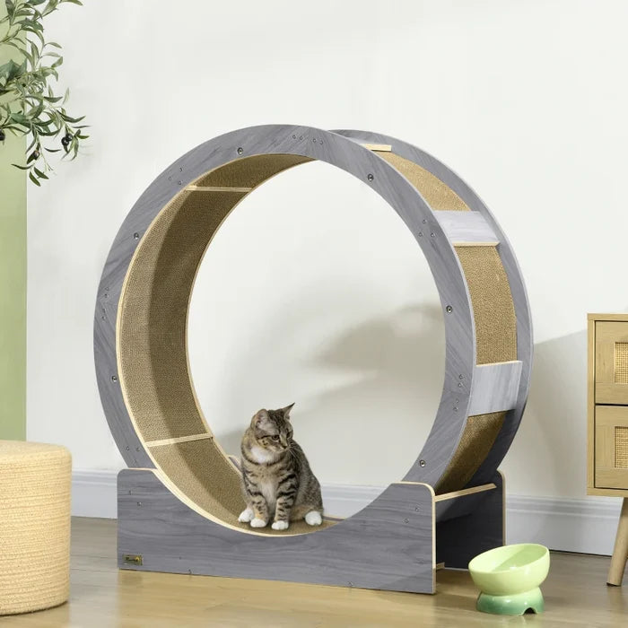 Cat Wheel Andy - PETSTEP