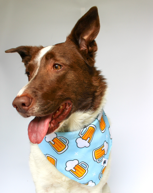Cheers and Beers Dog Bandana