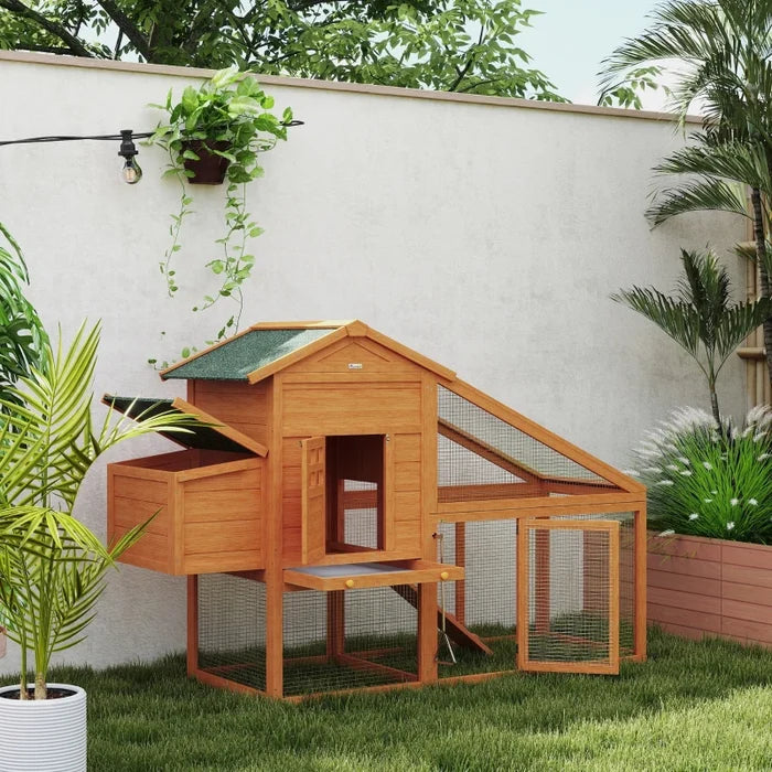 Chicken Coop Alfred
