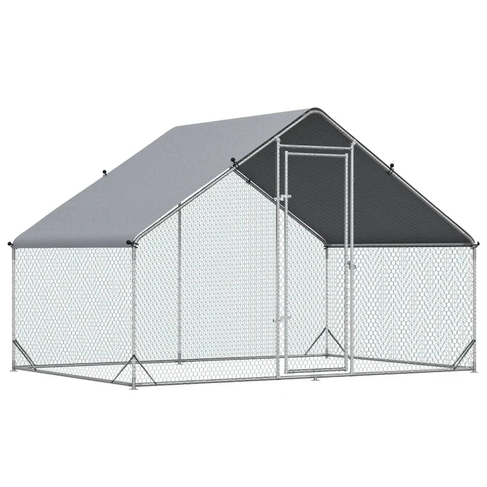 Chicken Coop Cody