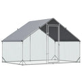 Chicken Coop Cody