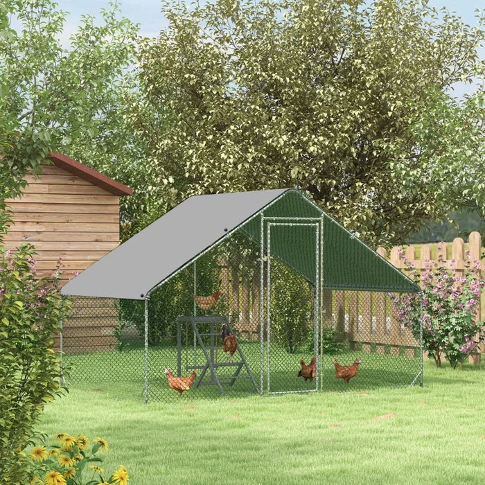 Chicken Coop Cody