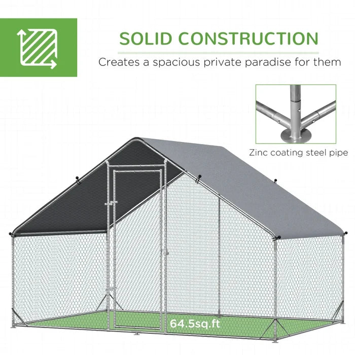 Chicken Coop Cody