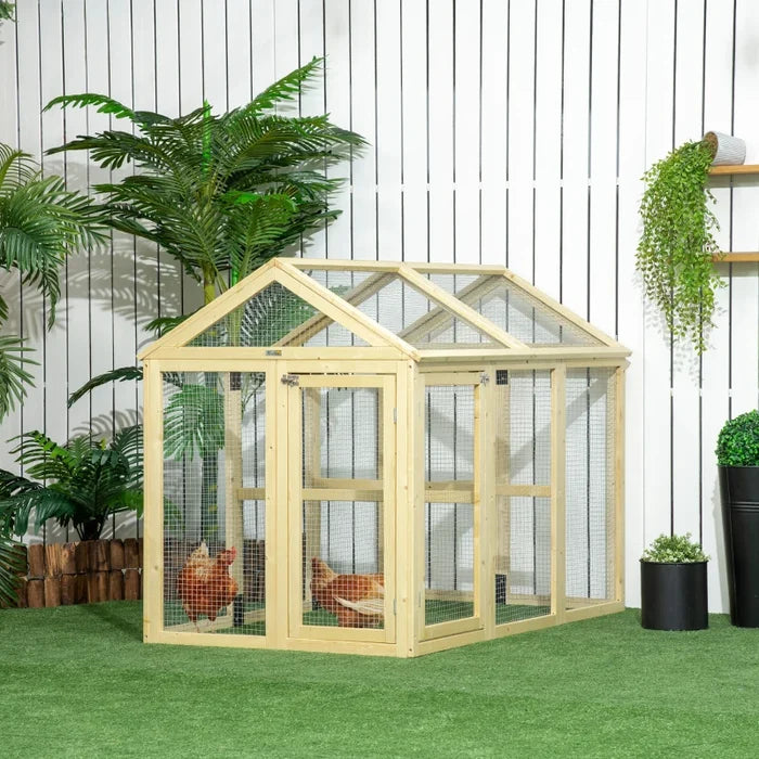 Chicken Coop Kelly