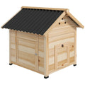 Chicken Coop Luca