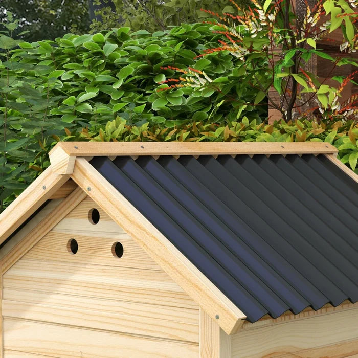 Chicken Coop Luca