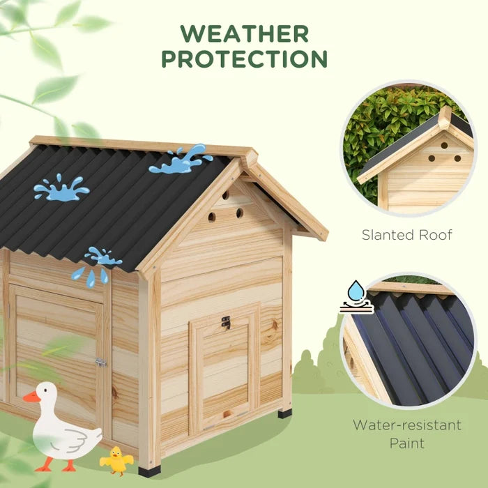 Chicken Coop Luca