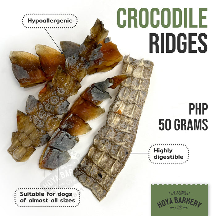 Crocodile Ridges