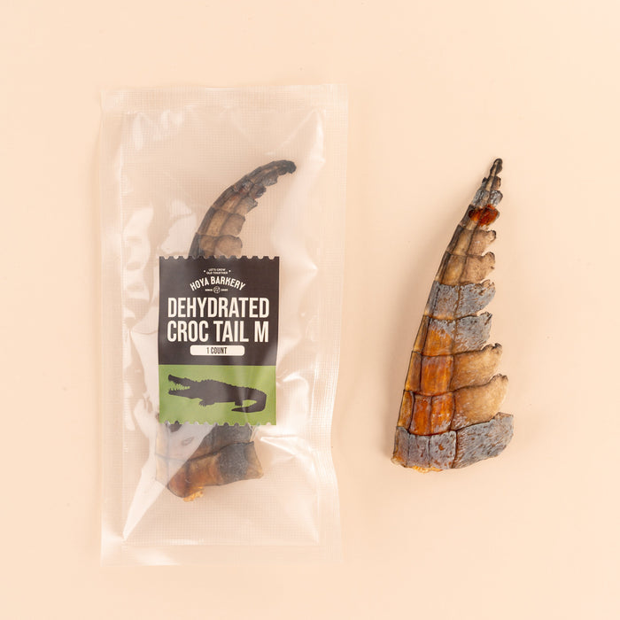 Crocodile Tails