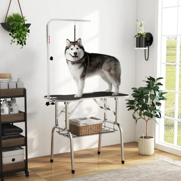 Dog Grooming Table Tara