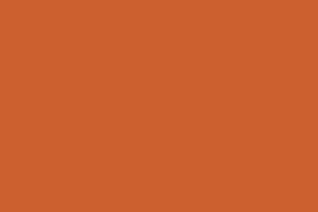 Dream Cushion- Orange Zest