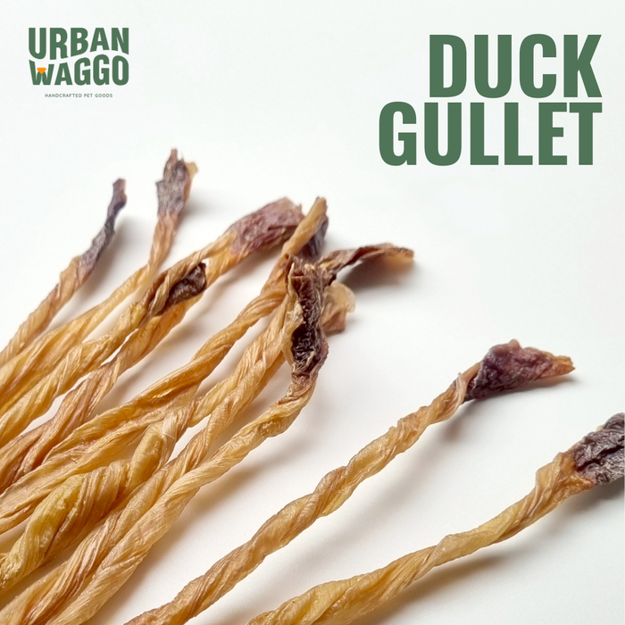 Duck Gullet