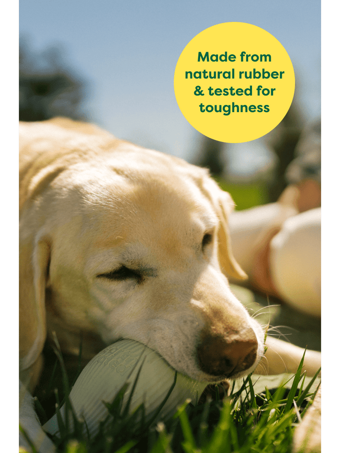 Earth Rated Rubber Dog Treat Toy