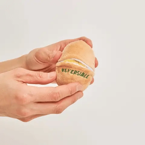 Egg-cellent Nosework Toy