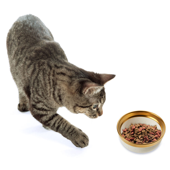 Ethical Pet Spot Malibu Dish Cat Gold 5"