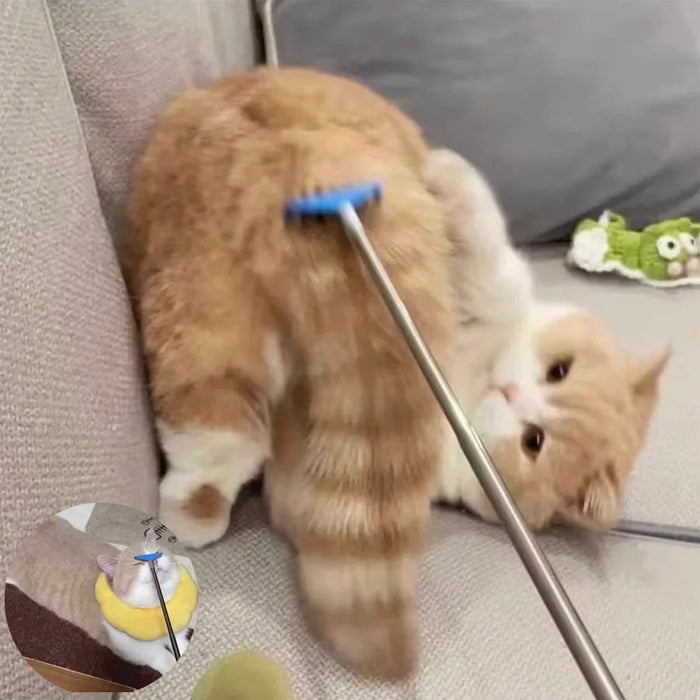 Extendable Cat Grooming & Play Brush – original supplier product image