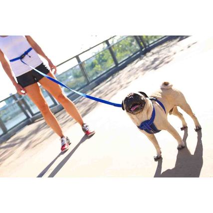 Ezydog ROAD RUNNER™ LEASH