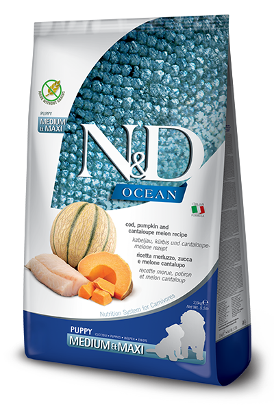 Farmina N&D Ocean Canine Cod, Pumpkin and Cantaloupe Melon Puppy Medium & Maxi Dry Dog Food