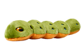 Fluff & Tuff Caterpillar Dog Toy