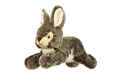 Fluff & Tuff Walter Wabbit