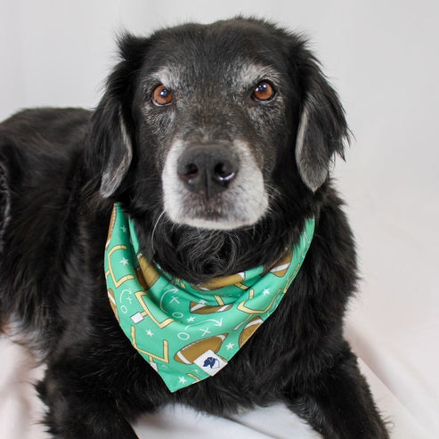 Football & Baseball Dog Bandana