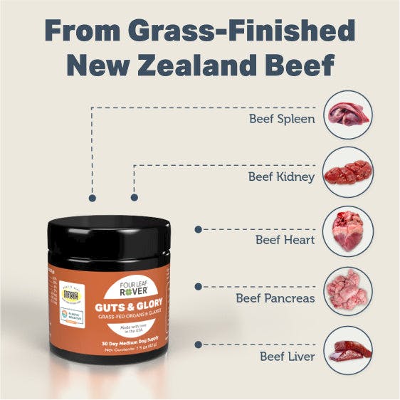 Four Leaf Rover Guts & Glory Grass-Fed Organs & Glands for Dogs