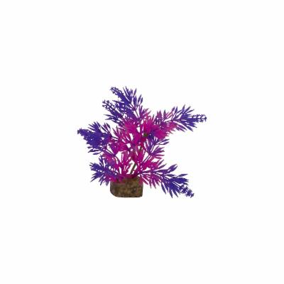 GloFish 78087 Plant for Fish, Purple/Pink, Small (B07DSH3BLW)